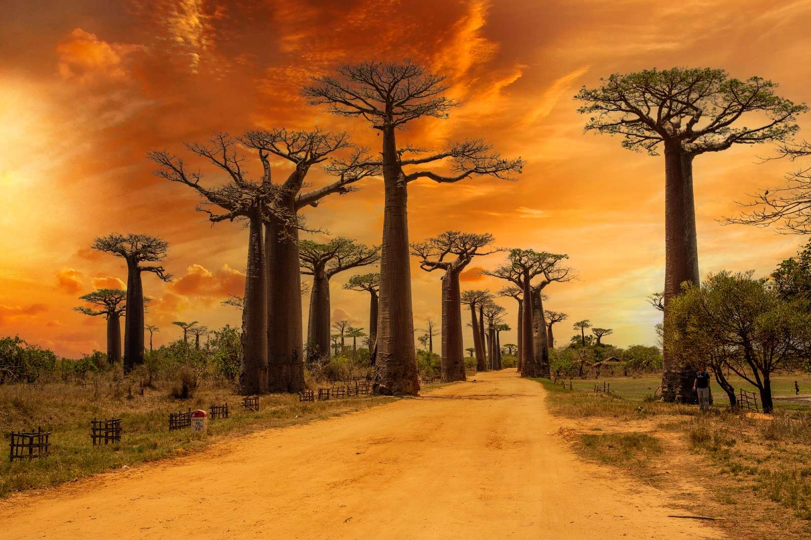 madagascar