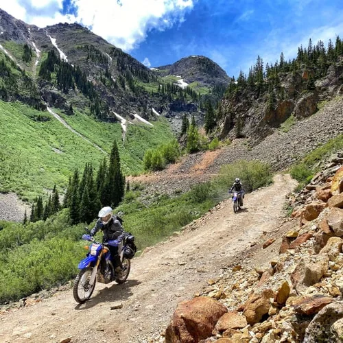 MOTODISCO CELL 21