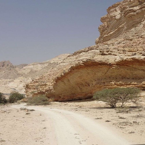 trail oman compressor