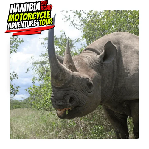 NAmibia8DaysOff Day 1 6