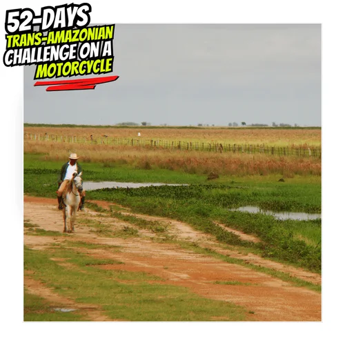 trans52 Day46
